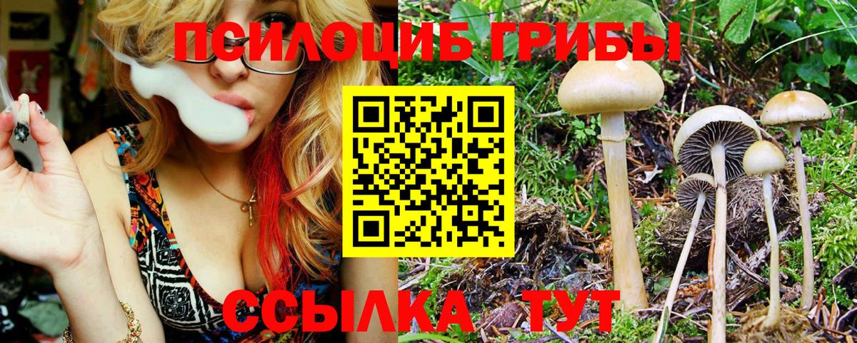 Псилоцибиновые грибы Magic Shrooms  Вход с VPN  что такое наркотик  Каменск-Шахтинский 