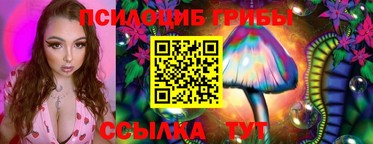 Галлюциногенные грибы GOLDEN TEACHER Каменск-Шахтинский